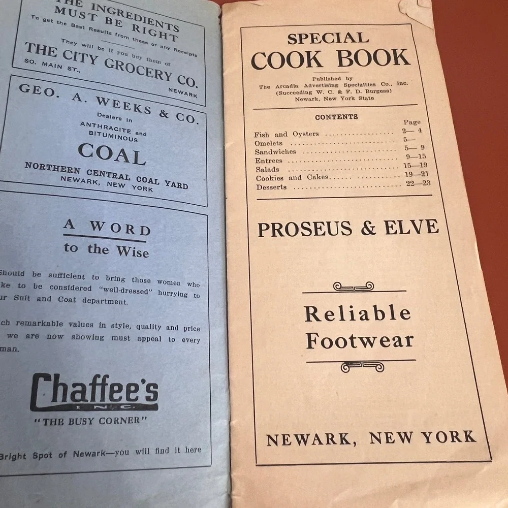 Antique Newark NY Special Cook Book Arcadia Advertising Empire Gas 1920s